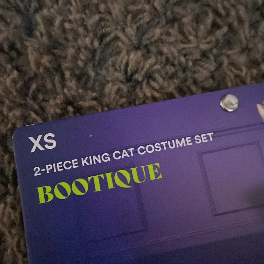 King cat costume